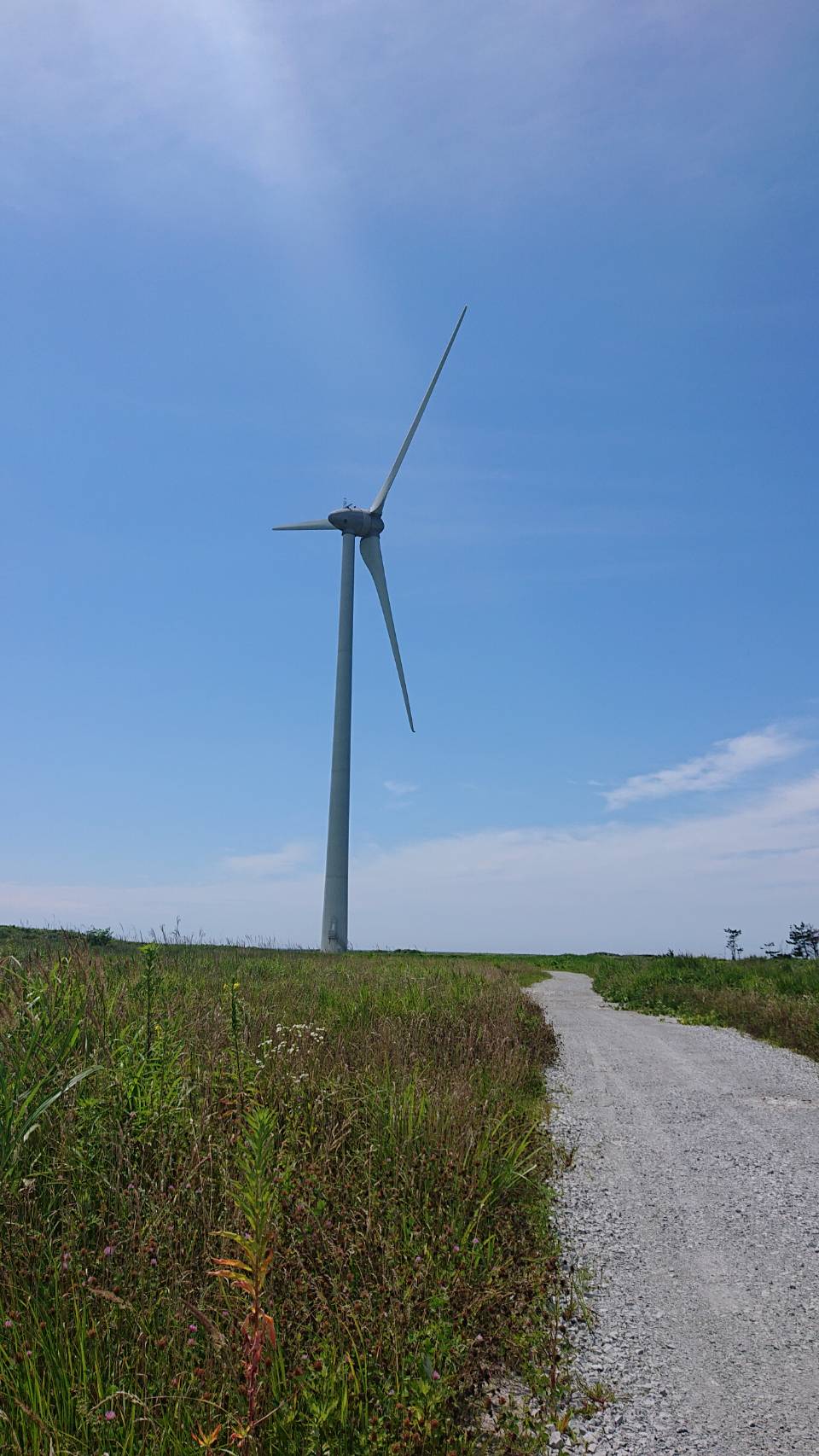 八峰目名潟 はっぽうめながた 風力発電所の竣工式が行われました 株式会社自然エネルギー市民ファンド